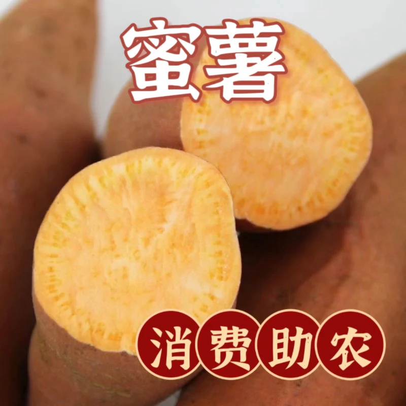 【淅礼助农】蜜薯新鲜现挖超甜可烤可当水果