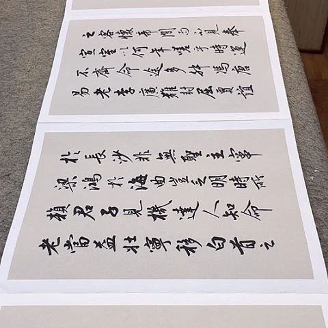 扇子S**T滕王阁序行书册页作品