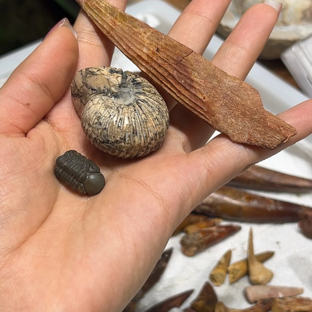 石材悠***山三个12345678