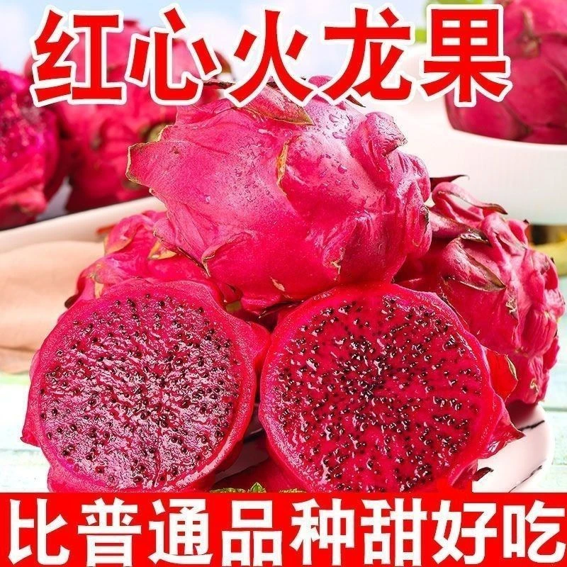 【现摘现发】正宗红心火龙果金都一号超甜应季新鲜水果整箱5斤批发