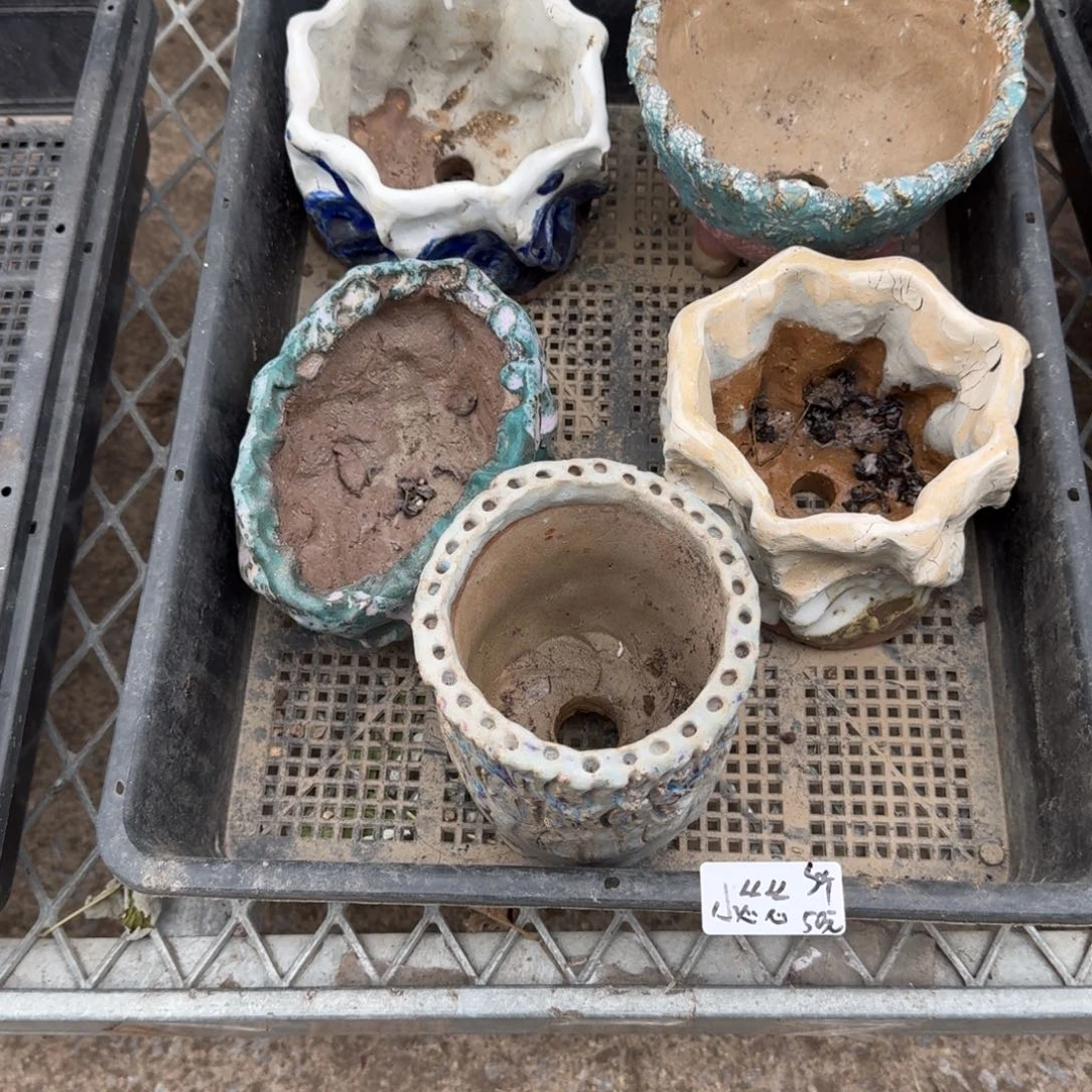 小***怂小怂怂5个盆50元啦啦啦