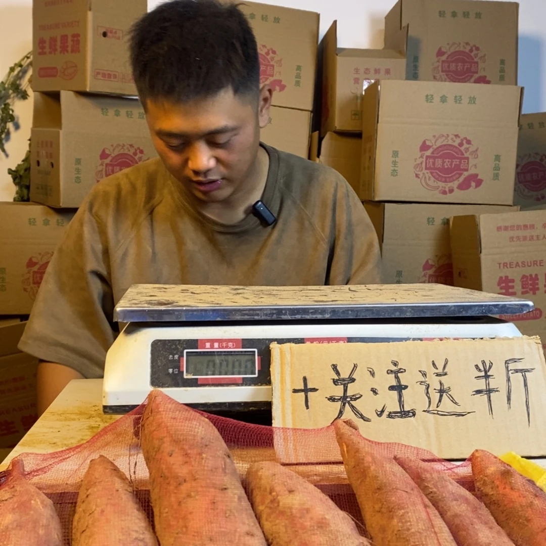 紫薯中国大陆蜜薯