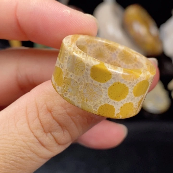 未镶嵌手镯（圆镯）硅化玉20