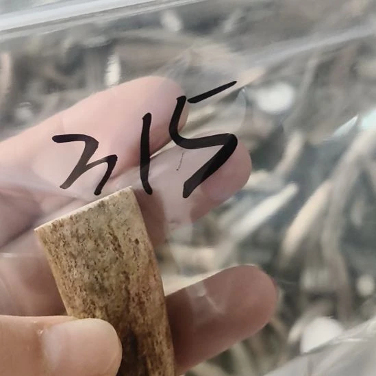 一***茶鹿角鹿角鹿角鹿角鹿角鹿角