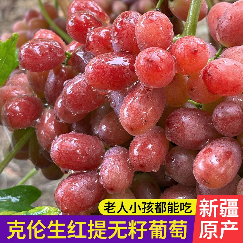 代【顺丰明日达】新疆克伦生葡萄 八十五兵团万亩克瑞森葡萄 绿色食品认证9-15新疆维吾尔自治区