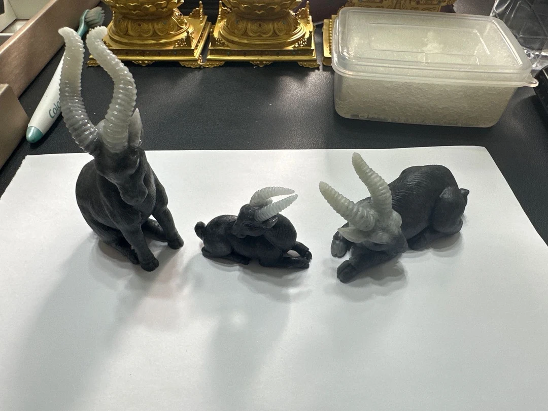 天然翡翠A过羚羊一家三口