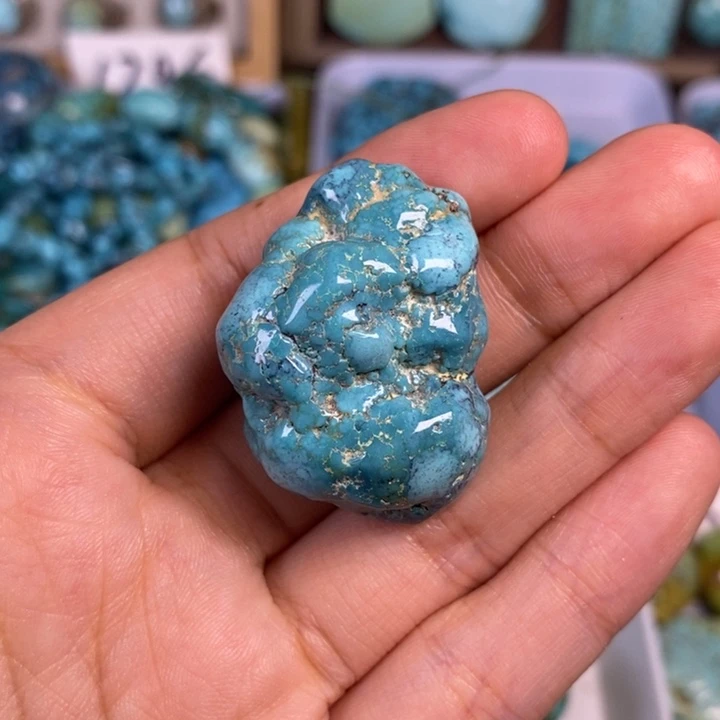 绿松石未镶嵌颈饰