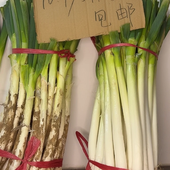 福利山东铁杆大葱带皮半叶5斤中国大陆
