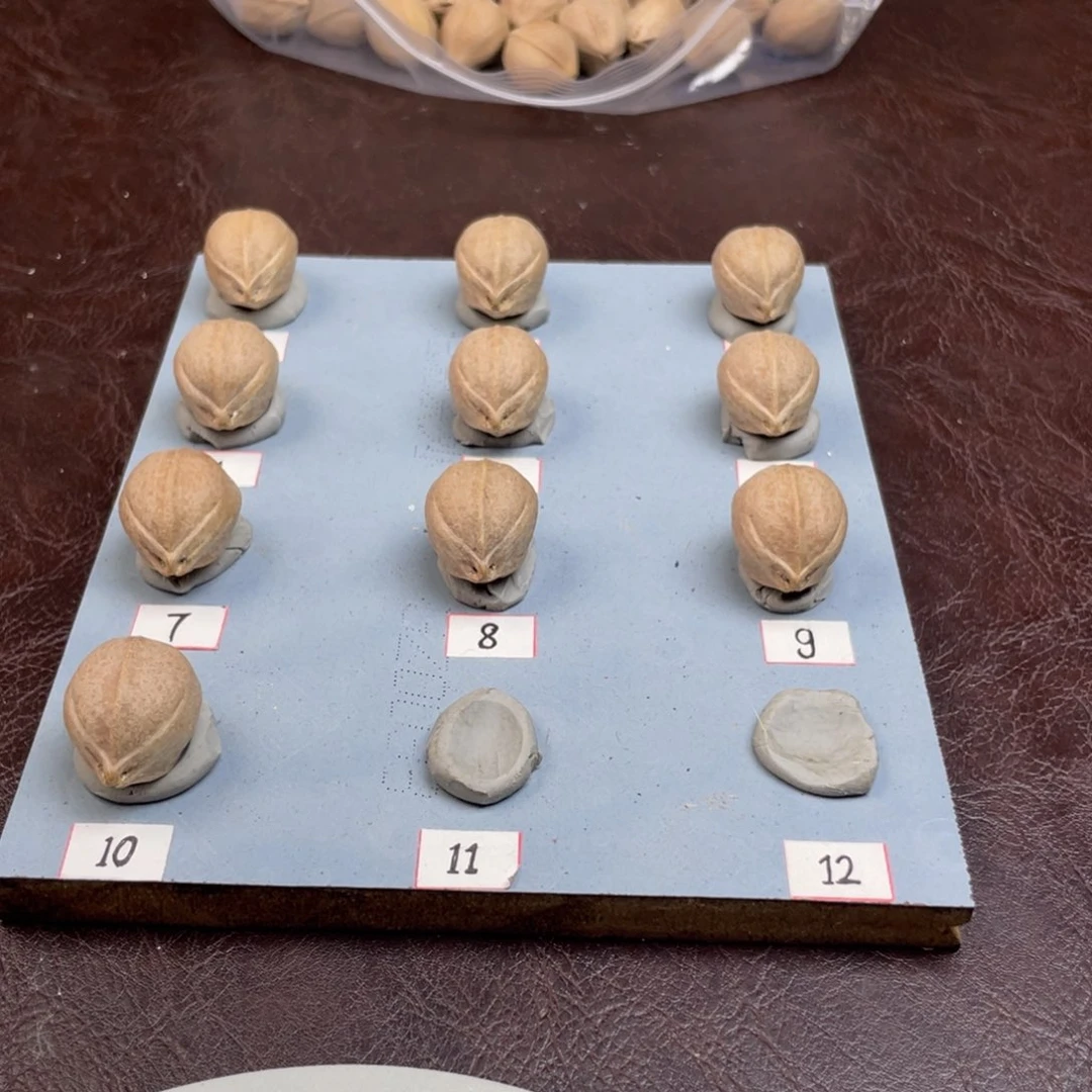 手串/手链橄榄核火**使20.26梅林铁核