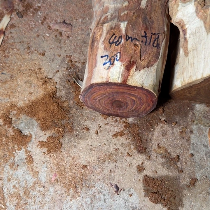 孤***狼木海南，海北飞灰尘。甘受商于仪诳楚