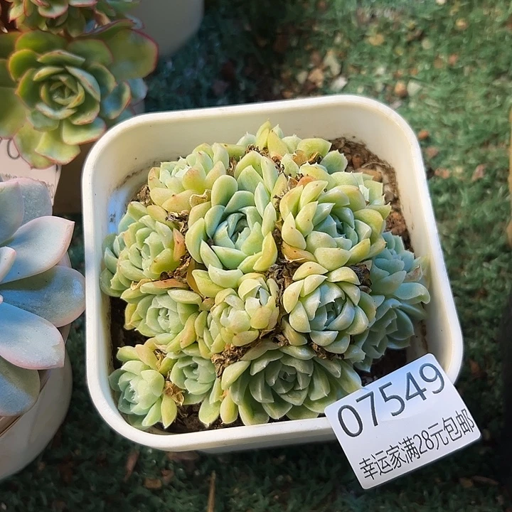 幸运的是我还没遇到过