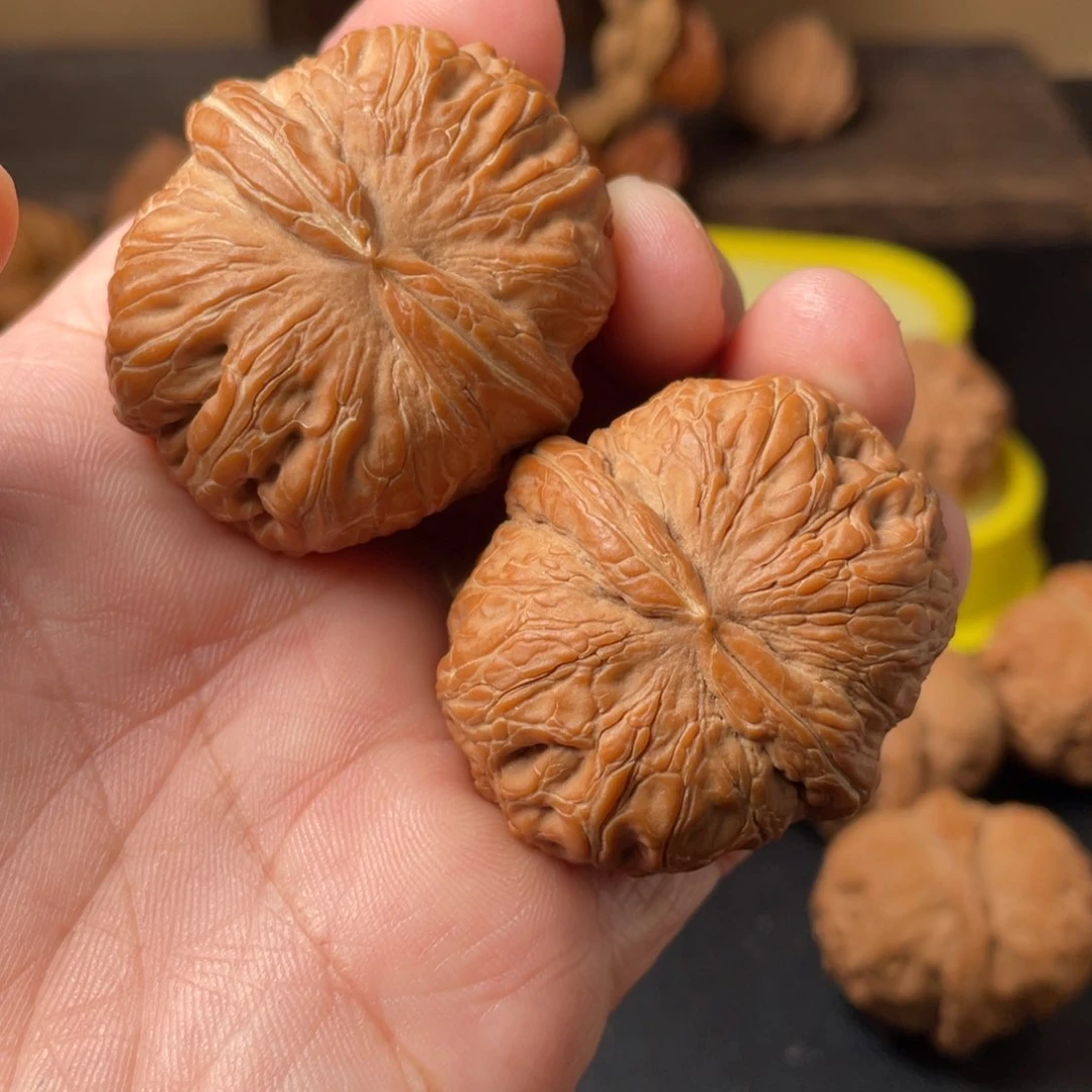 大叶紫檀（黑酸枝木类）?****W很农文玩核桃元宝