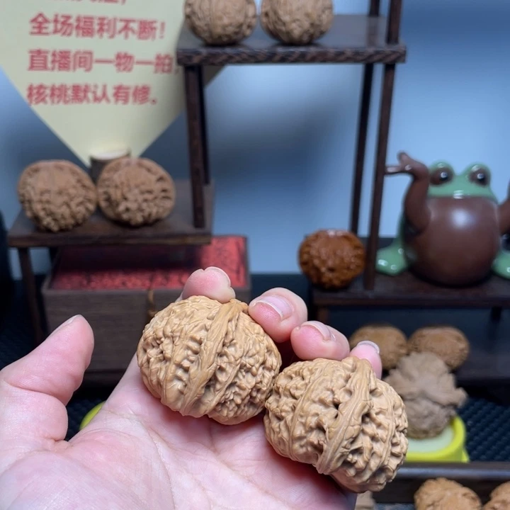 ****风文玩核桃把件白狮40闪5