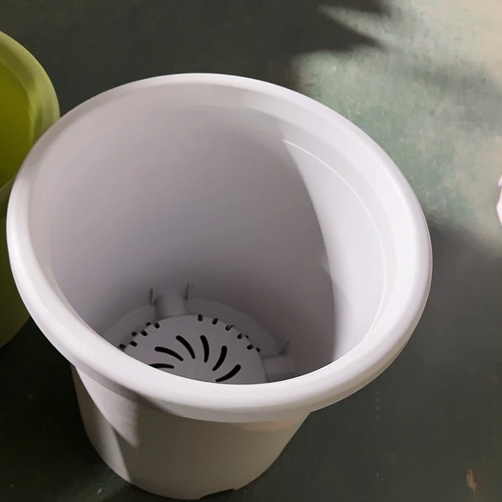 四季7号新灰白无托10个特价