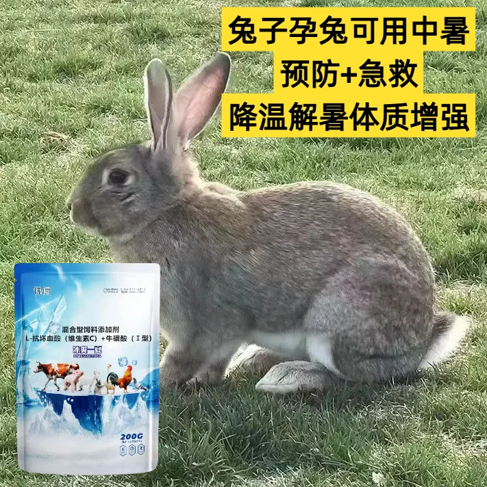 兔子孕兔可用降温消暑猪牛羊鸡鸭鹅鸵鸟孔雀防中暑抗热应激养殖