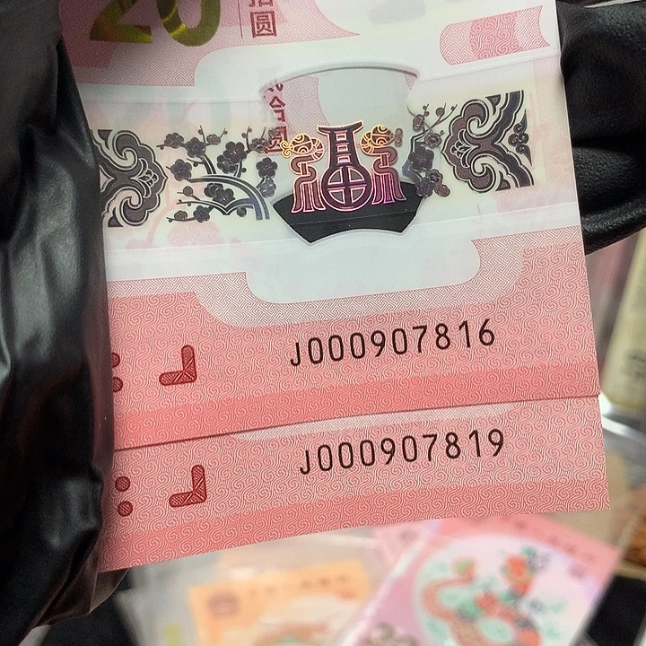 塑料蛇钞小司令金钩号两张裸钞