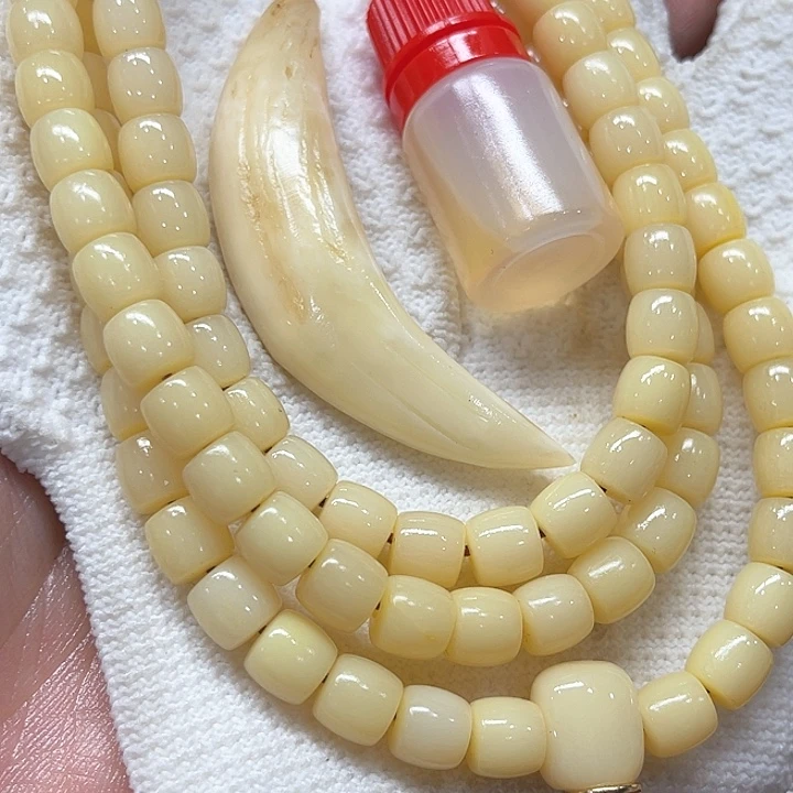 骆驼牙手串/手链骆驼牙8