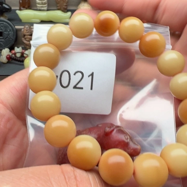 手串菩提根/象牙果