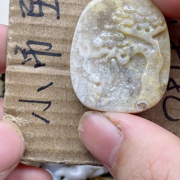 颈饰未镶嵌硅化珊瑚（珊瑚玉）森**烛