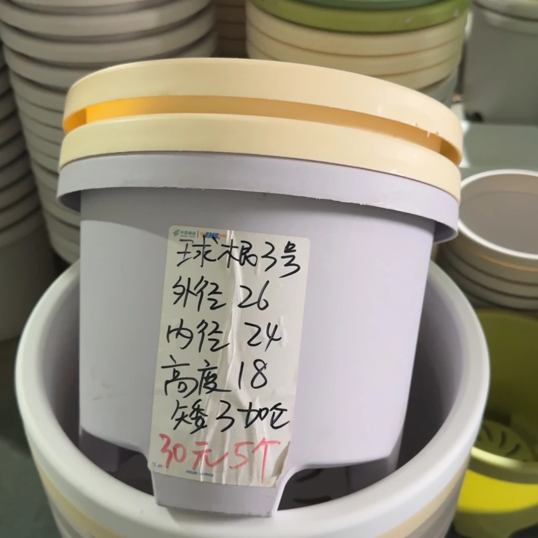球根3#口径26高18无拖灰白6个
