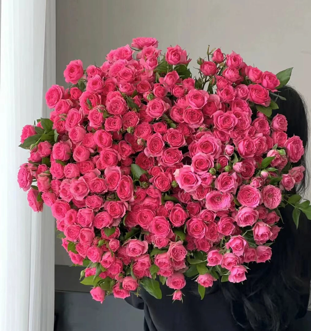 【多头-苏菲宝贝10支】鲜花任意满2单发顺丰冷链或德邦空运云南鲜花