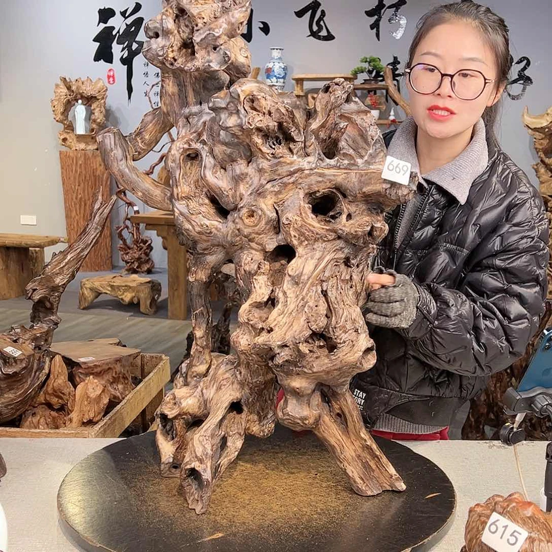 木猫**玩669 hvgcgvhvhbhhh