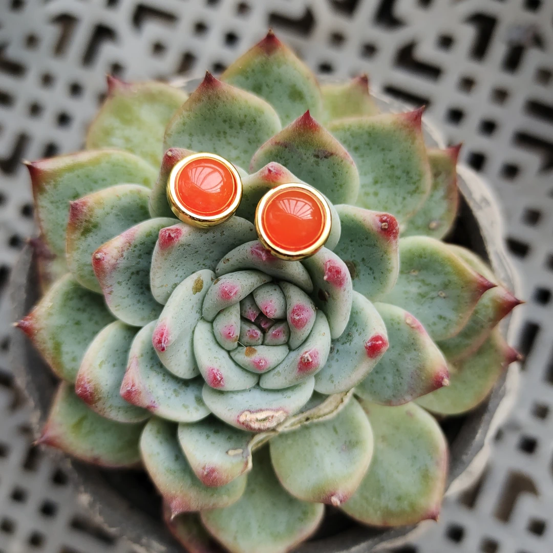 南红玛瑙冰红耳钉