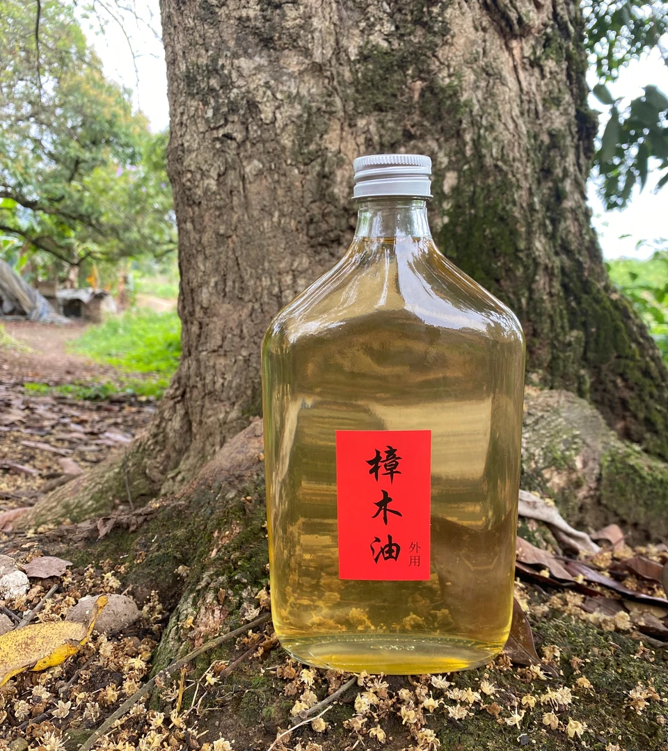 广西长寿之乡土法蒸馏正宗农家山樟{樟木油} 油天然品质