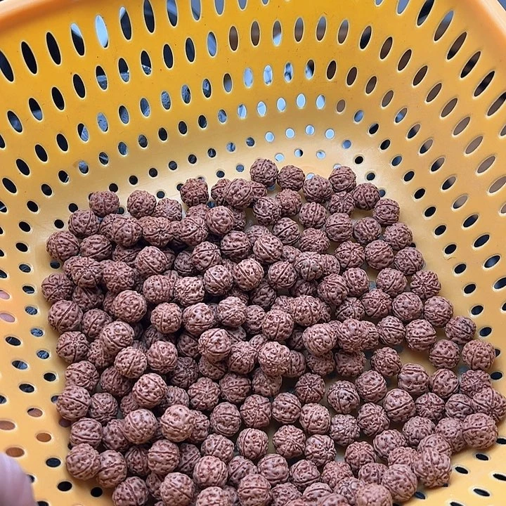 金刚菩提手串T**k好评