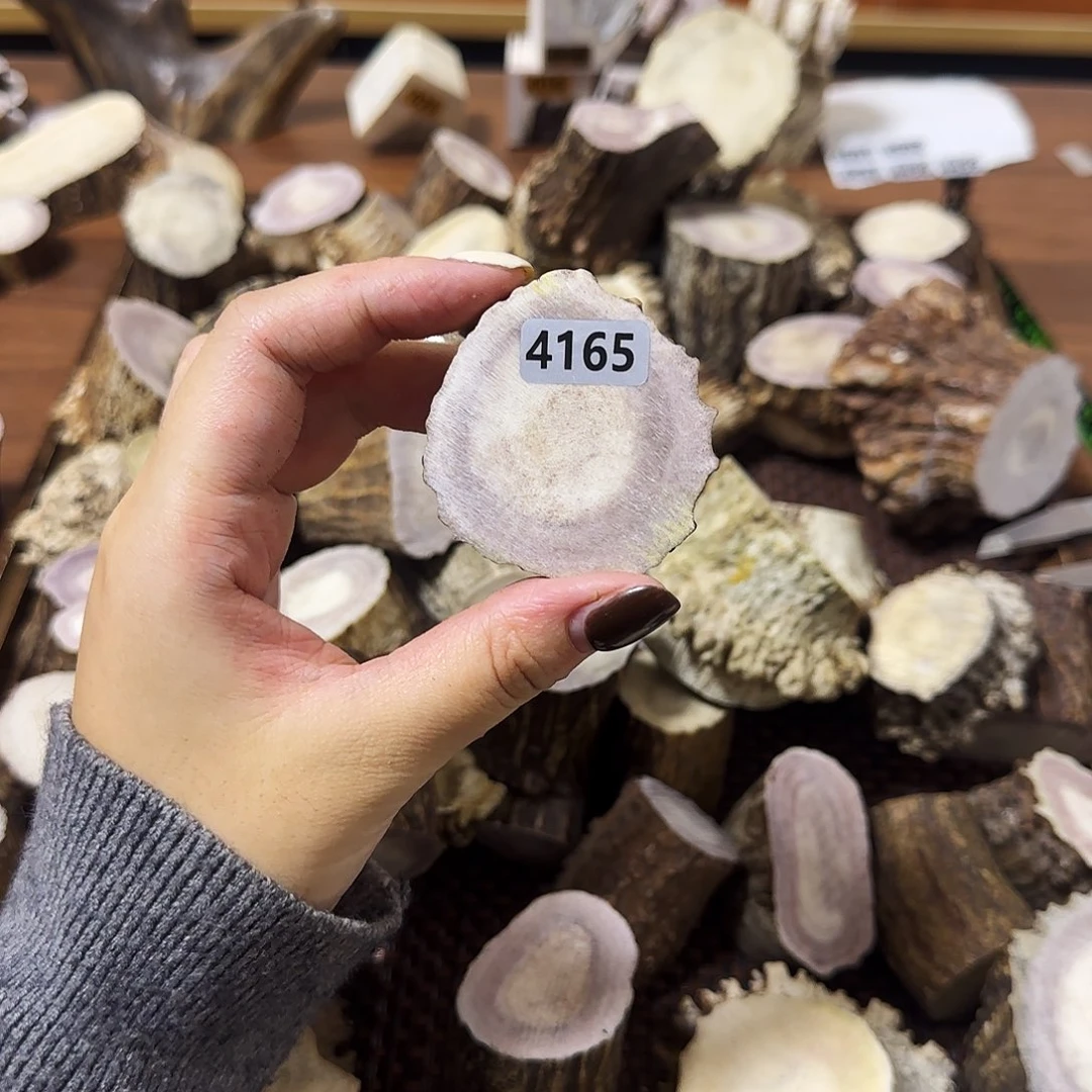 鹿骨手串/手链4165片