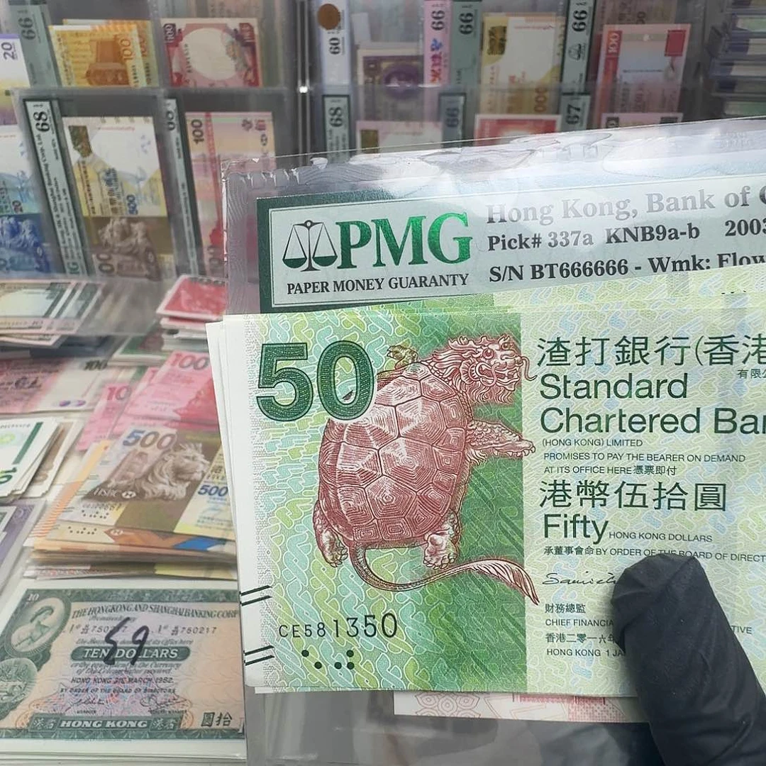 纸新版神龟单张哈哈哈