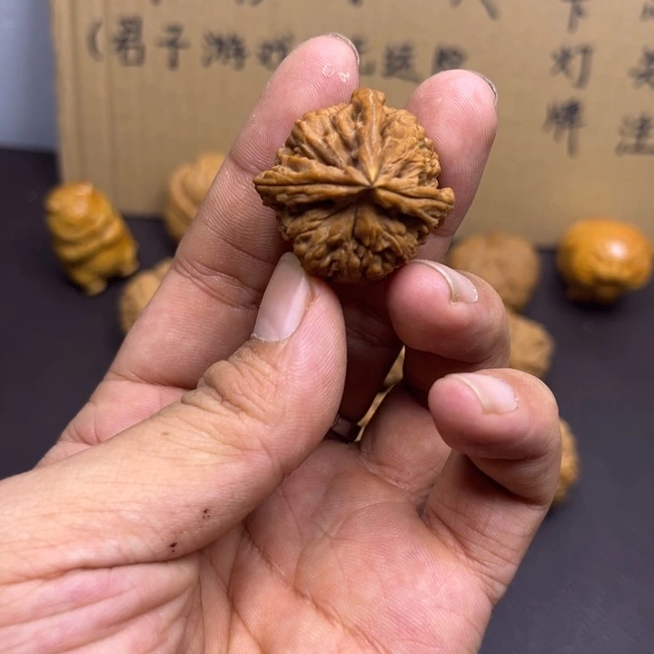熬***狗菩提籽类三棱有瑕疵