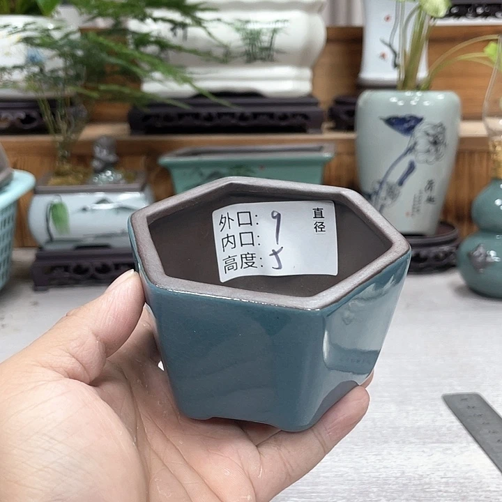 陶瓷花盆紫砂花盆抢购福利