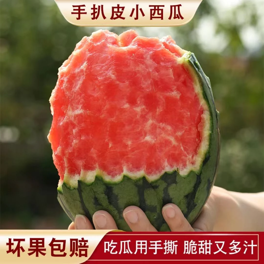现摘礼品西瓜手撕冰淇淋小糖丸晓吸瓜细腻多汁皮薄庞各庄西瓜京东