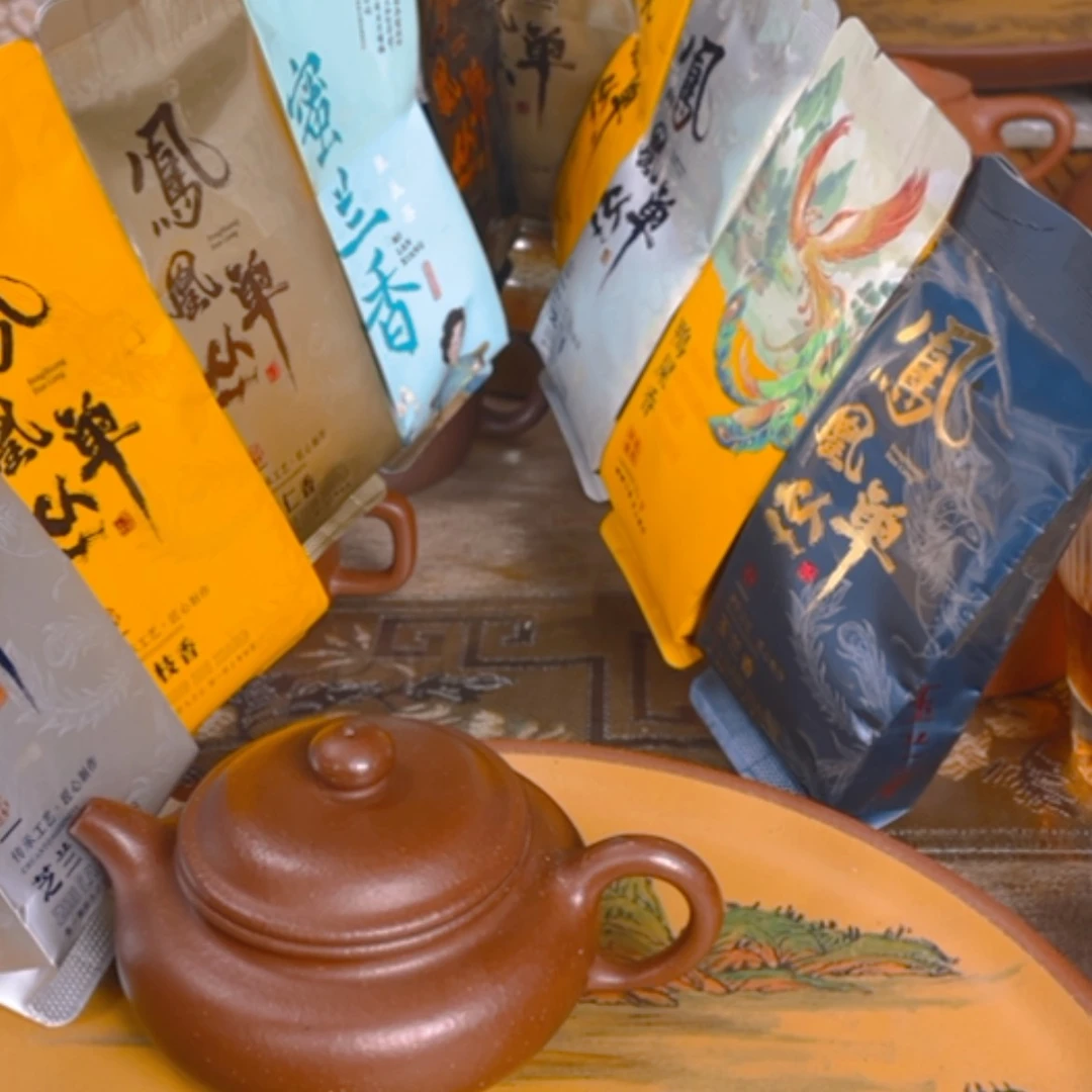 【闪购商品】松***子凤凰单丛，十泡茶十大香xing