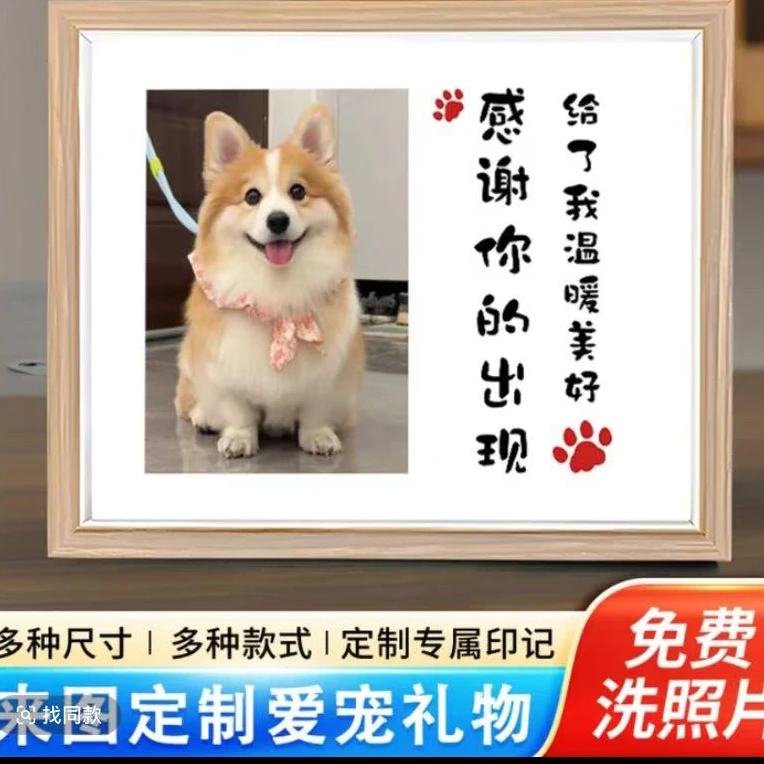宠物狗狗生日周岁纪念相框