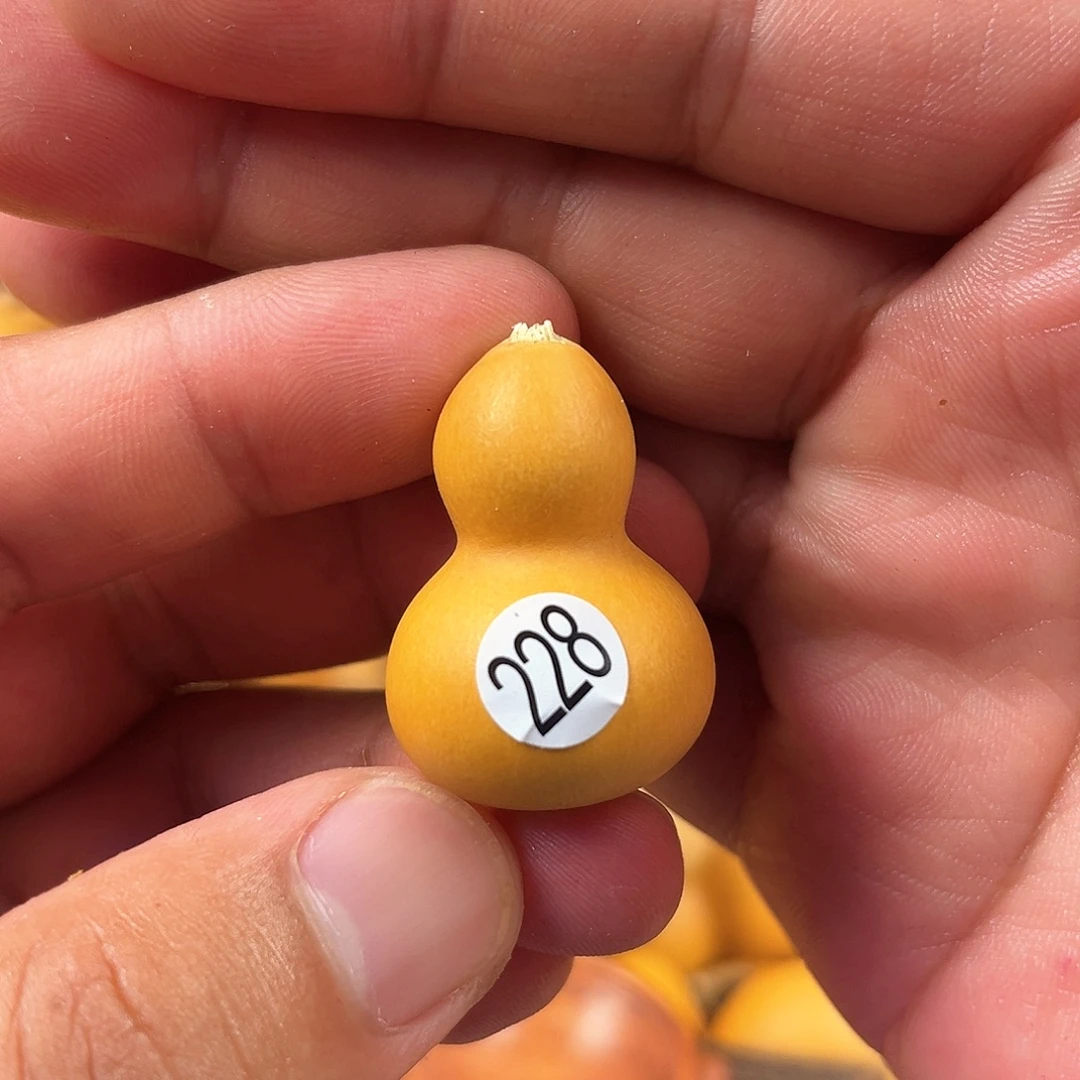 三葫芦葫芦葫芦葫芦 228