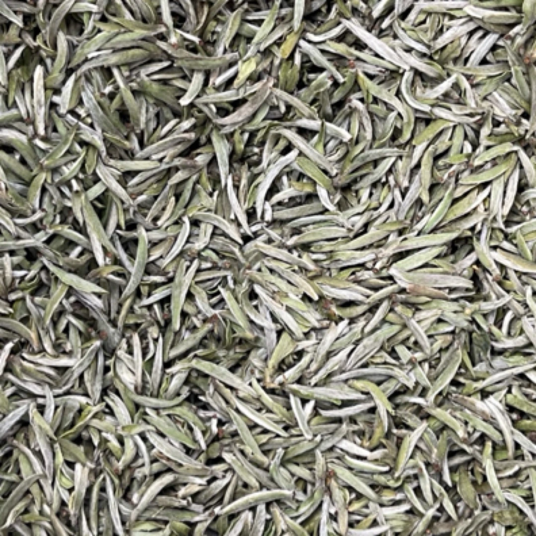 2025年碳焙头采白毫银针