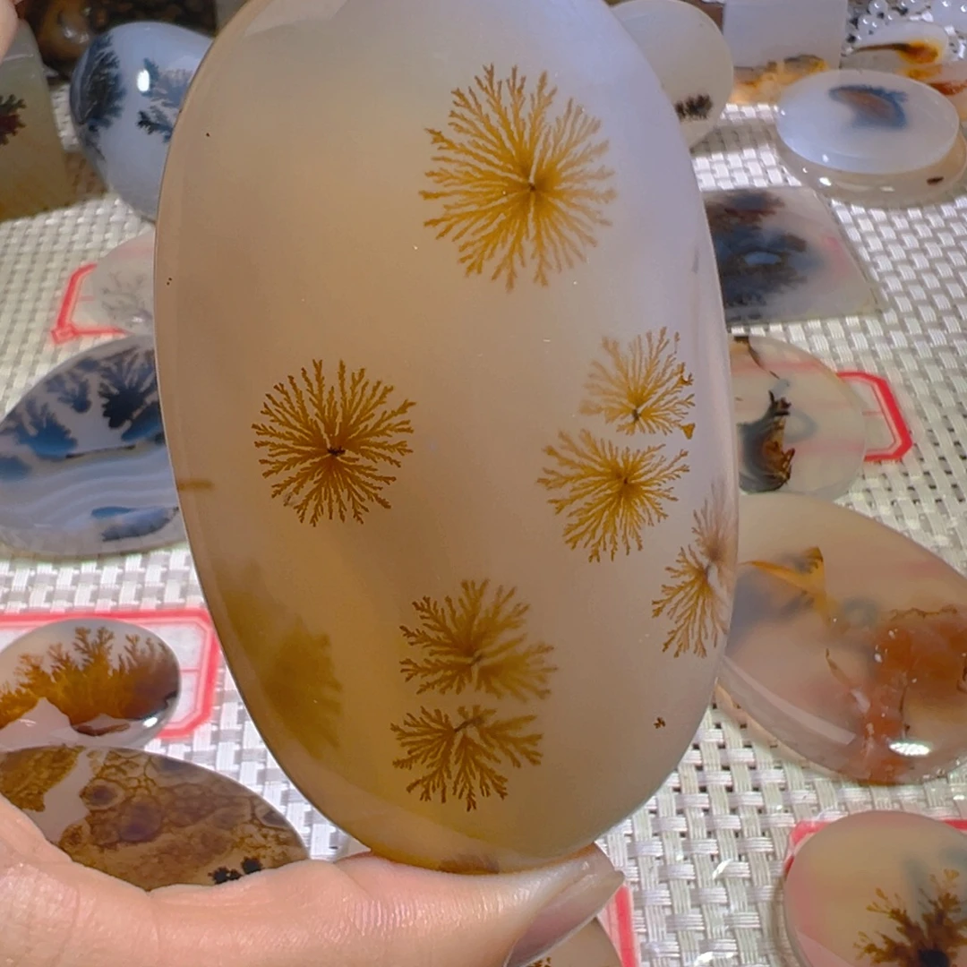 未镶嵌颈饰玛瑙/玉髓