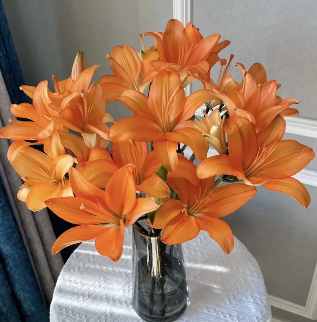 【橙色梦想20个花苞】亚百合 任意拍两单升级冷链加配草 三单送花瓶