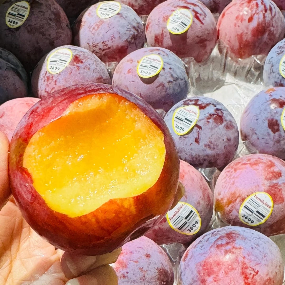 【抗老水果】恐龙蛋李子一个