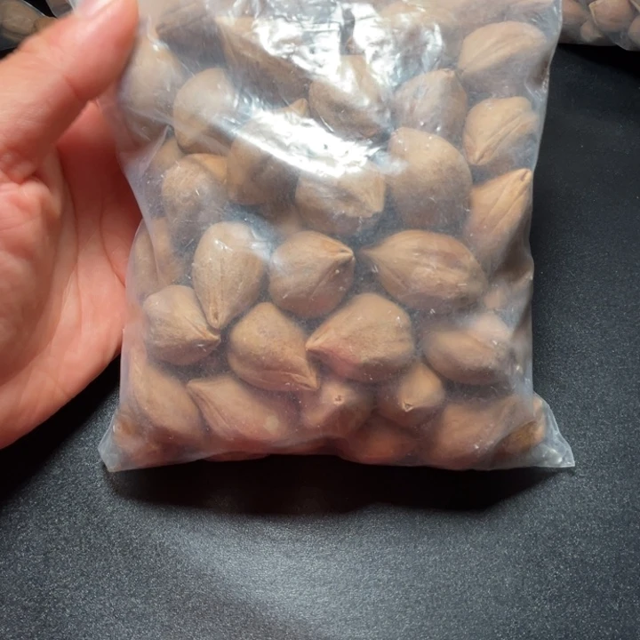 手串/手链猪牙我是