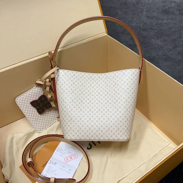 95新/路易威登/C4533450176/[251107LLYC]