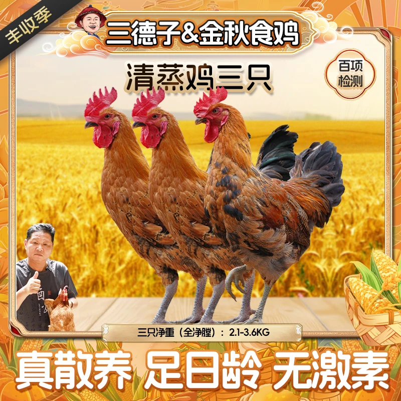 三德子清蒸鸡【3只】生态散养土鸡童子鸡宝宝辅食青脚生态鸡白切鸡