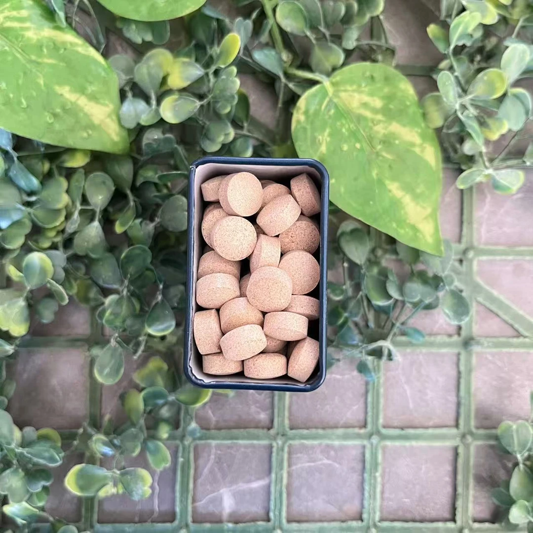 雨腾古茶 无字版白Z珠“ Y动J ”YW片100粒/盒（12月22）