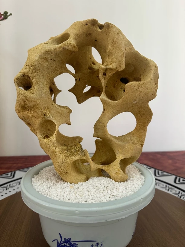 新中式茶室玄关书房装饰佳品