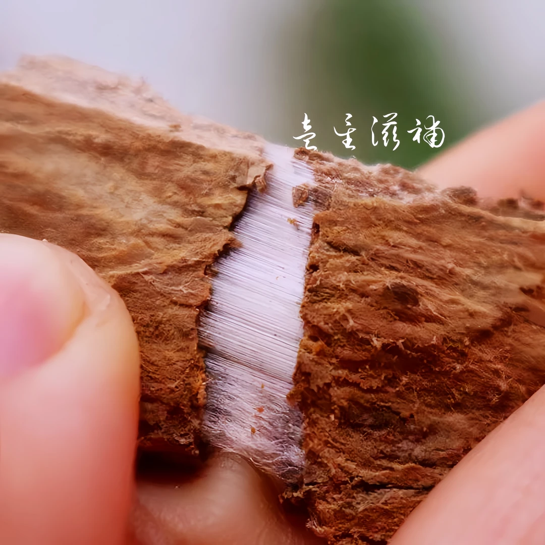 【杜.仲】云南农家现收无粗皮无杂大片老树皮厚饱满泡水滋补养生