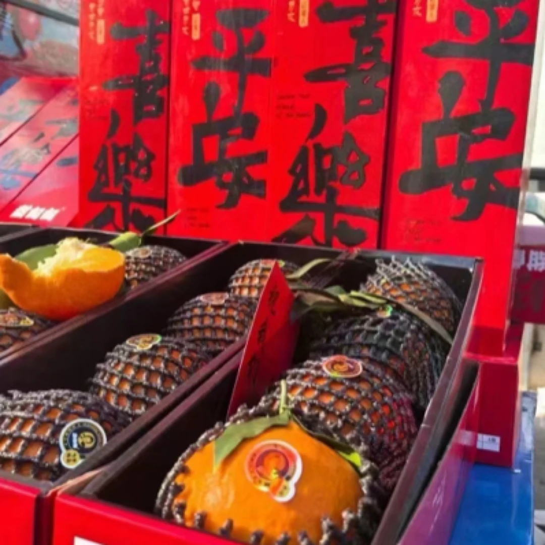 爱媛38号果冻橙大果5斤装