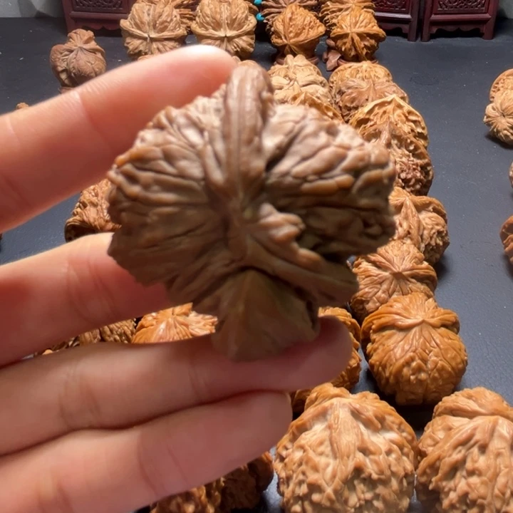 白狮子犀牛角43尺寸单只核桃哈哈哈哈哈