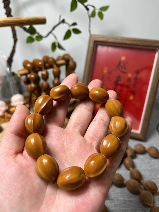 正宗梅林铁核鲨鱼背橄榄核